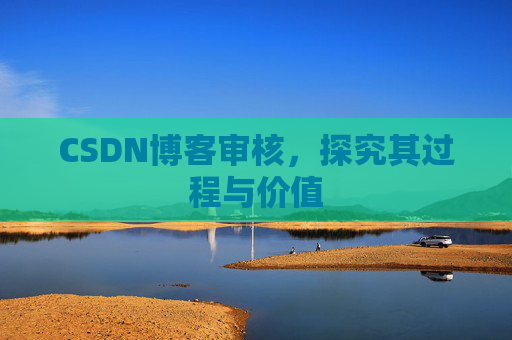 CSDN博客审核，探究其过程与价值